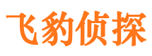 宁河市婚外情调查